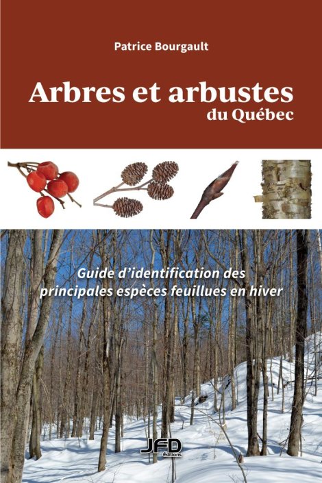 Arbres et arbustes du Québec : Guide d'identification des principales espèces feuillues en hiver